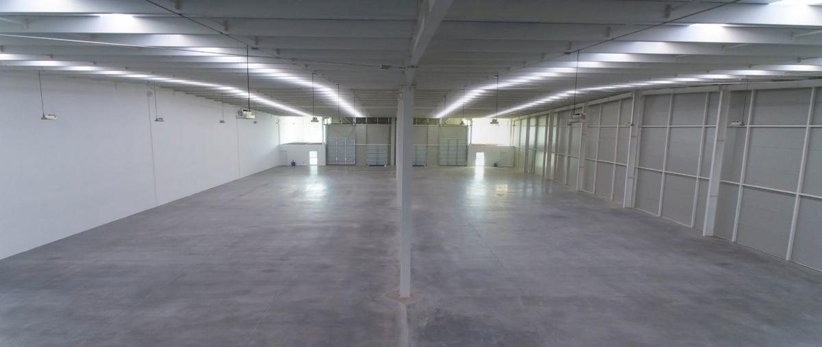 Foto de bodega en renta en carreteracelaya - salamanca kilometro 7.5 , colonia rancho nuevo, apaseo el grande, guanajuato, 0 No. 03