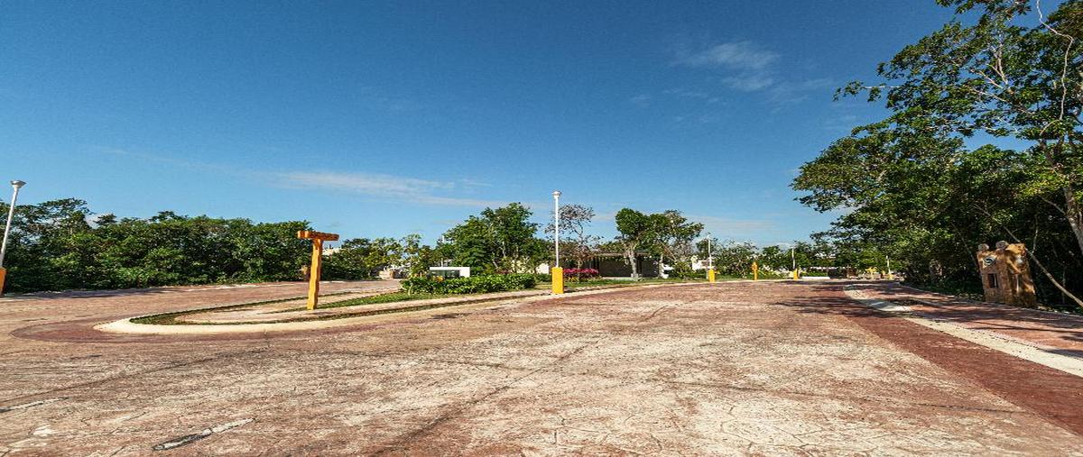 Foto de terreno habitacional en carreterera cancún tulum 24, cancún (internacional de cancún), benito juárez, quintana roo, 29973495 foto 03 Foto de terreno habitacional en venta en carreterera cancún tulum 24, cancún (internacional de cancún), benito juárez, quintana roo, 29973495 No. 03