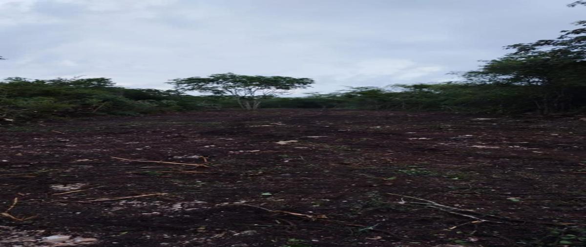 Foto de terreno habitacional en carretra chicxulub - yaxche , chicxulub, chicxulub pueblo, yucatán, 28098213 foto 01 Foto de terreno habitacional en venta en carretra chicxulub - yaxche , chicxulub, chicxulub pueblo, yucatán, 28098213 No. 01