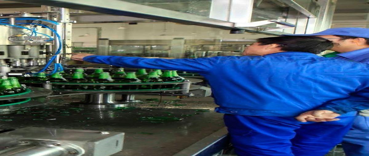 Foto de terreno industrial en venta en carretrera mérida-tetiz , tetiz, tetiz, yucatán, 25717889 No. 04