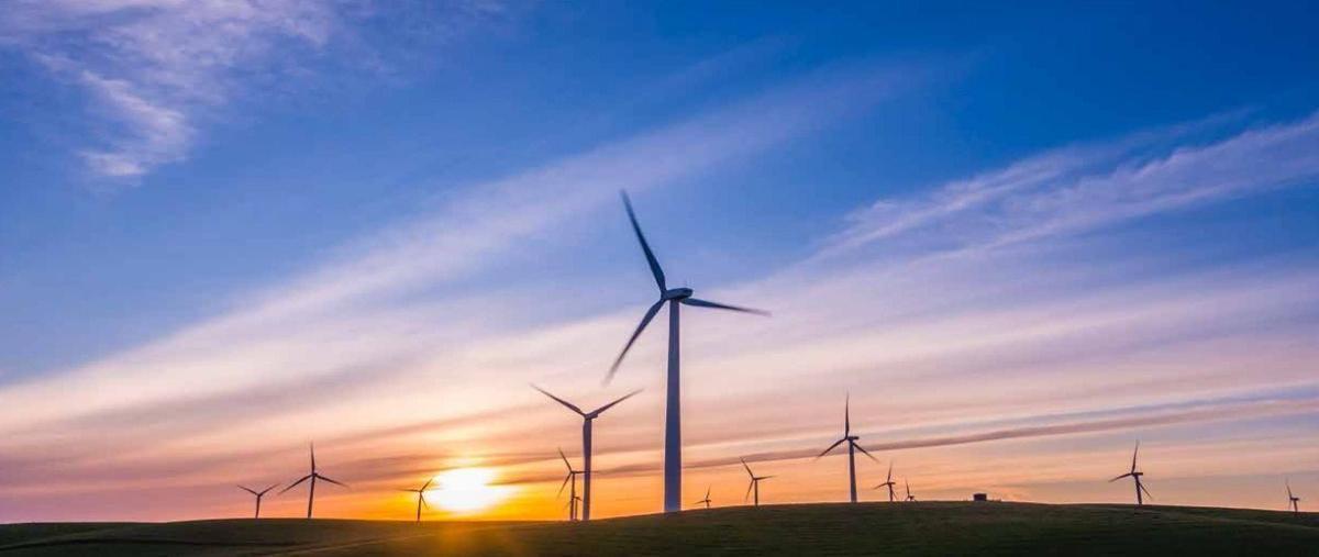 Foto de terreno industrial en venta en carretrera mérida-tetiz , tetiz, tetiz, yucatán, 25717889 No. 05