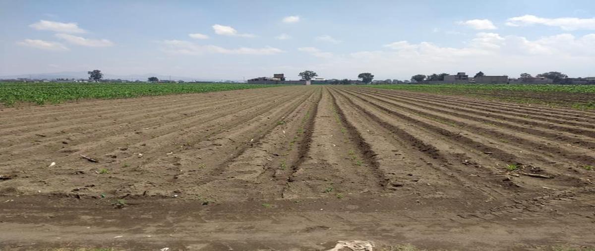 Foto de terreno habitacional en venta en carril sin nombre s/n , san pablo atlazalpan, chalco, méxico, 0 No. 01