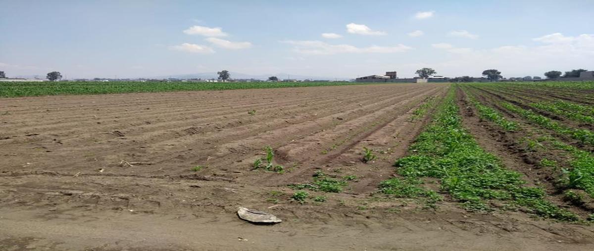 Foto de terreno habitacional en venta en carril sin nombre s/n , san pablo atlazalpan, chalco, méxico, 0 No. 02