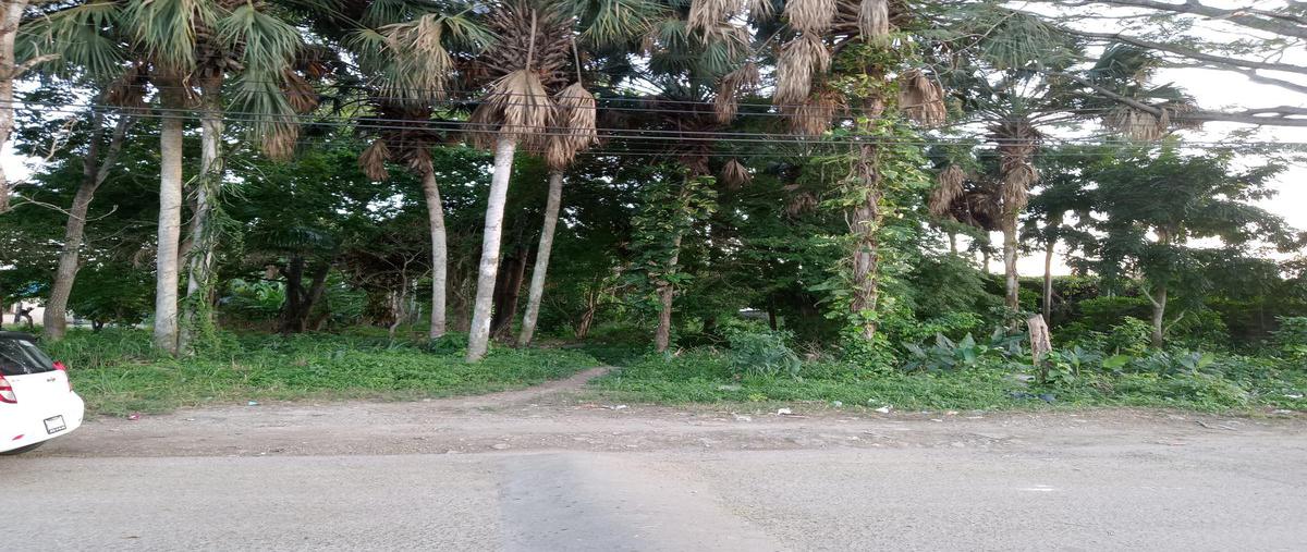 Foto de terreno habitacional en venta en  , carrizal, centro, tabasco, 0 No. 03