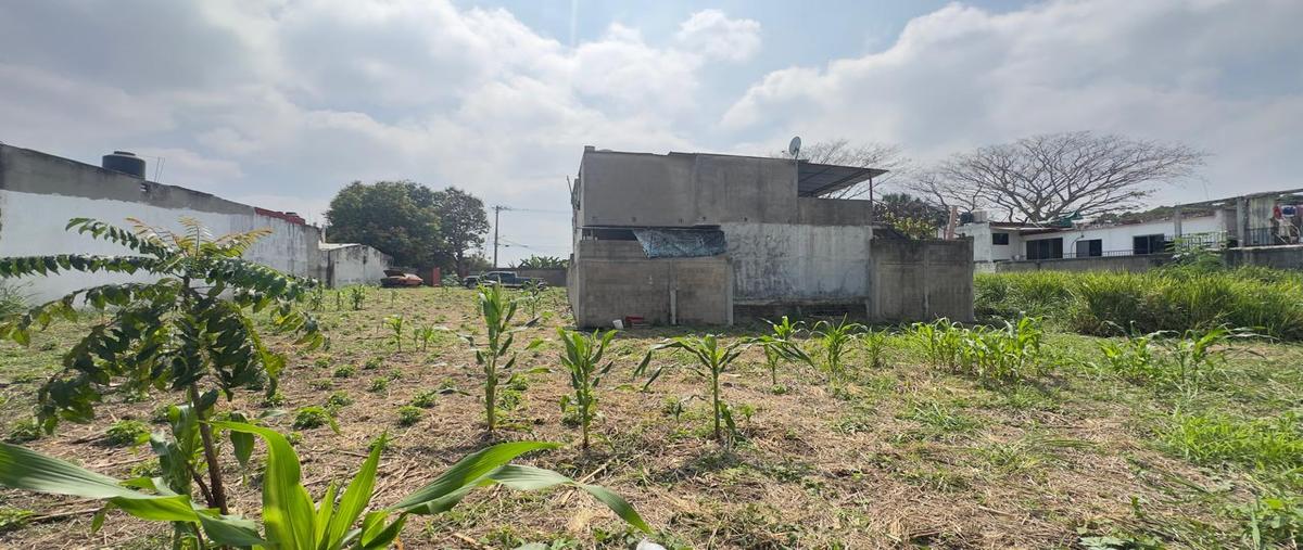 Foto de terreno habitacional en venta en  , carrizal, centro, tabasco, 0 No. 05
