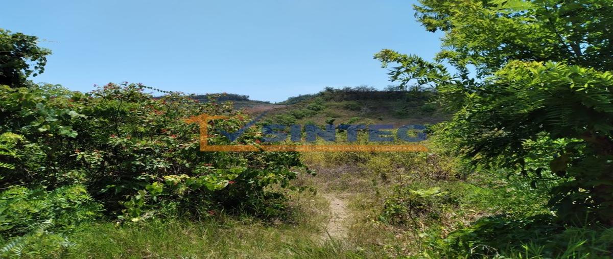 Foto de terreno habitacional en venta en  , carrizal, papantla, veracruz de ignacio de la llave, 26394872 No. 05
