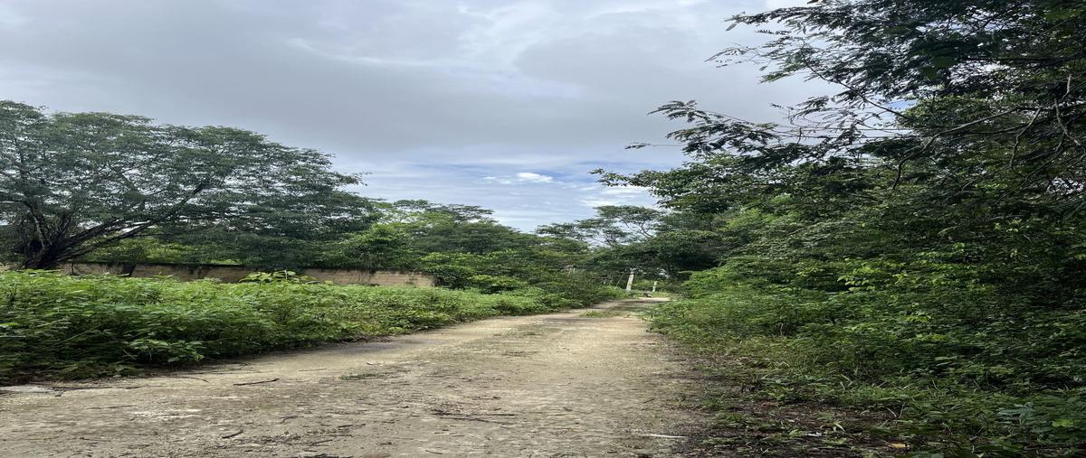 Foto de terreno habitacional en carrizal , supermanzana 313, benito juárez, quintana roo, 28822484 foto 03 Foto de terreno habitacional en venta en carrizal , supermanzana 313, benito juárez, quintana roo, 28822484 No. 03