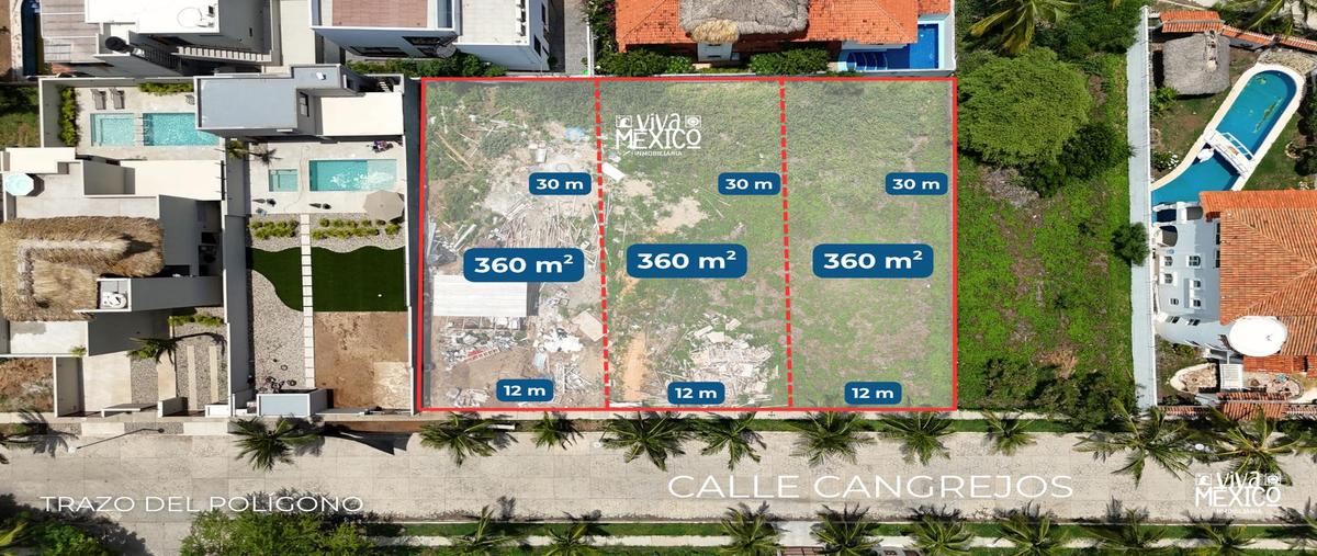Foto de terreno habitacional en venta en  , carrizalillo, san pedro mixtepec -dto. 22 -, oaxaca, 0 No. 03