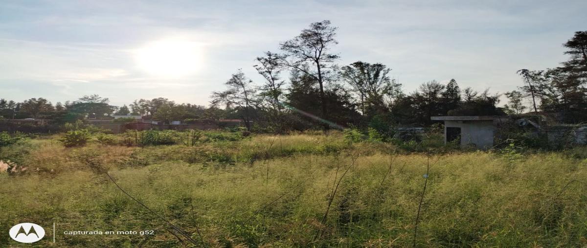 Foto de terreno habitacional en venta en carroza , la capilla, ixtlahuacán de los membrillos, jalisco, 27042687 No. 04