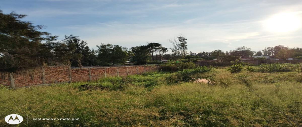 Foto de terreno habitacional en venta en carroza , la capilla, ixtlahuacán de los membrillos, jalisco, 27042687 No. 05