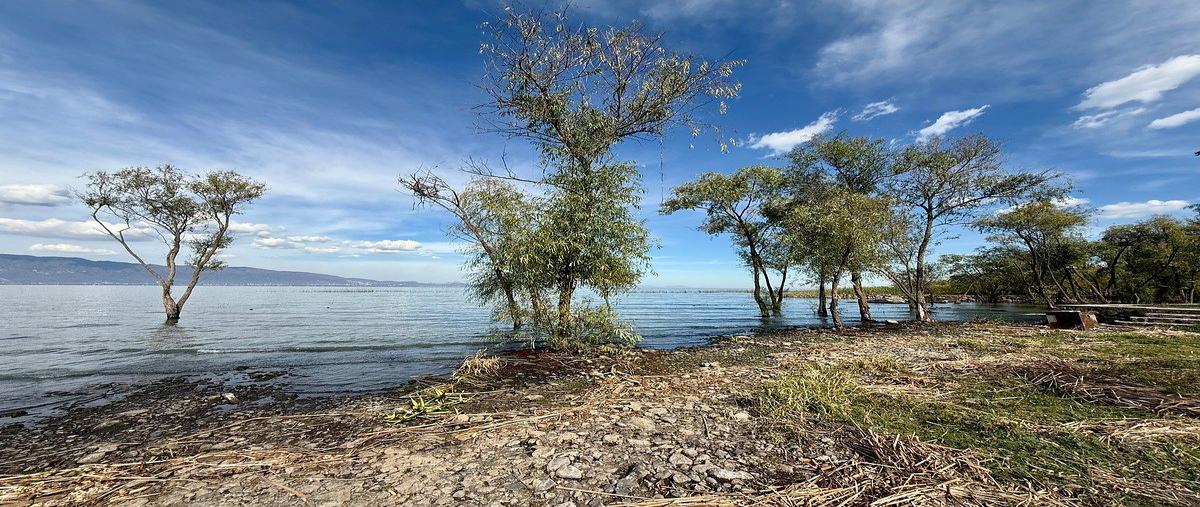 Foto de terreno habitacional en venta en carrt- guadalajara - morelia 15, , san luis soyatlan, tuxcueca, jalisco, 29393225 No. 04