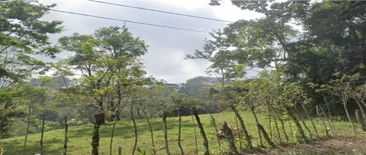 Foto de rancho en carrt teapa tacotalpa , liberación, teapa, tabasco, 0 foto 01 Foto de rancho en venta en carrt teapa tacotalpa , liberación, teapa, tabasco, 0 No. 01