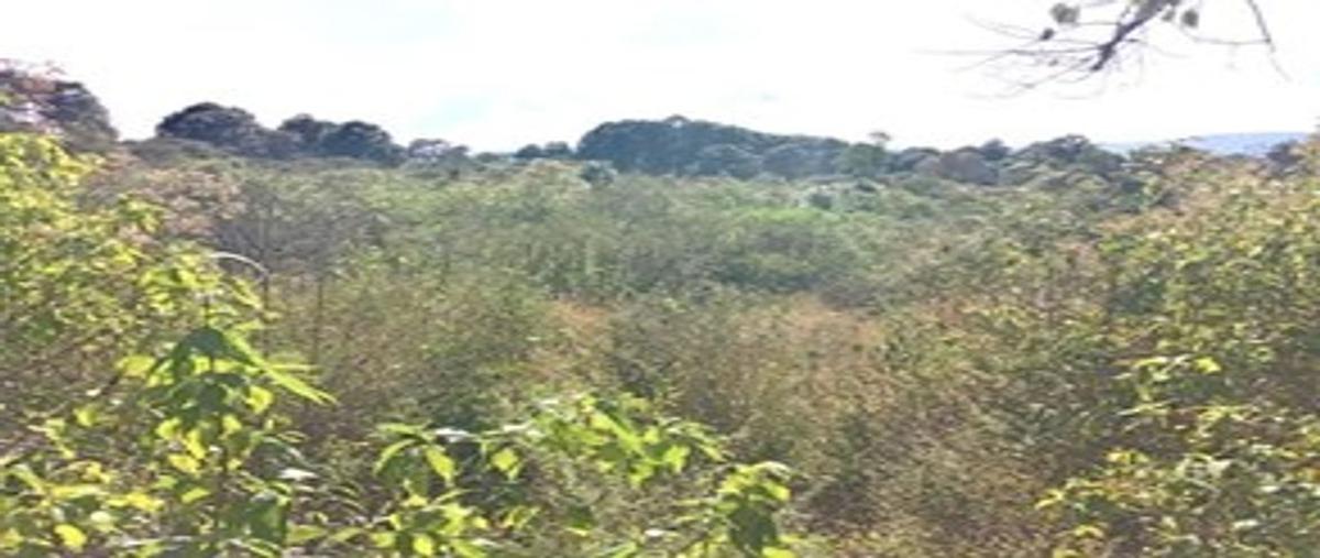 Foto de terreno habitacional en venta en casa blanca , tapalpa, tapalpa, jalisco, 23797436 No. 03