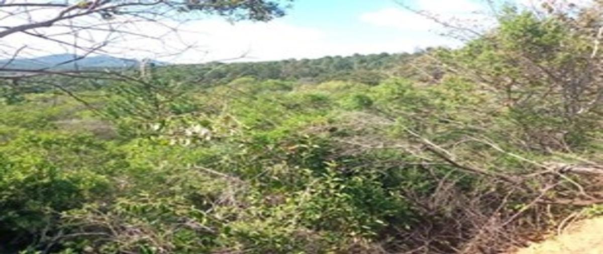 Foto de terreno habitacional en venta en casa blanca , tapalpa, tapalpa, jalisco, 23797436 No. 04