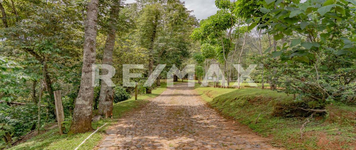 Foto de casa en venta en casa campestre en la hermita san sebastian del oeste , san sebastián del oeste, san sebastián del oeste, jalisco, 28176790 No. 05