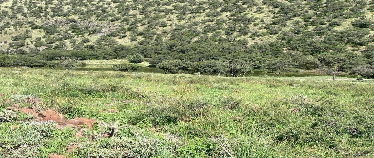 Foto de rancho en venta en  , casa de janos, janos, chihuahua, 27567760 No. 03