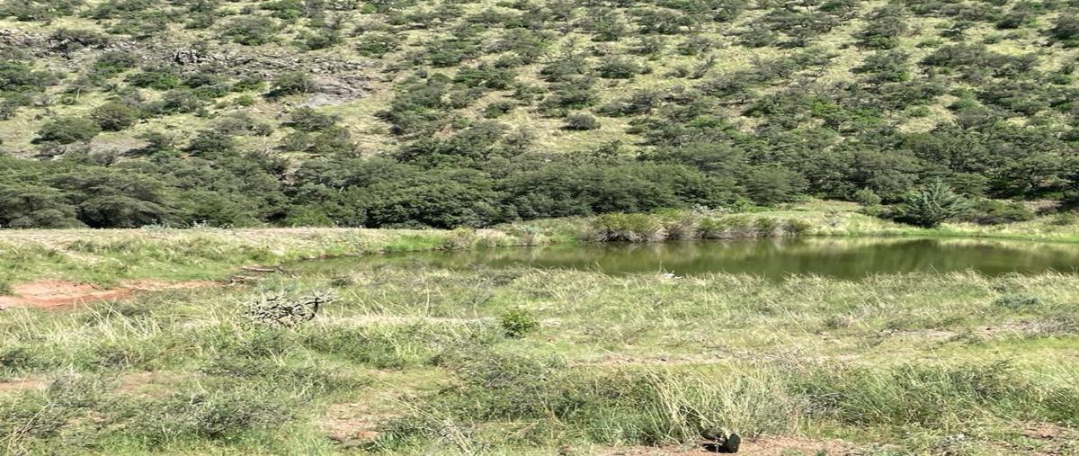 Foto de rancho en venta en  , casa de janos, janos, chihuahua, 27567760 No. 04