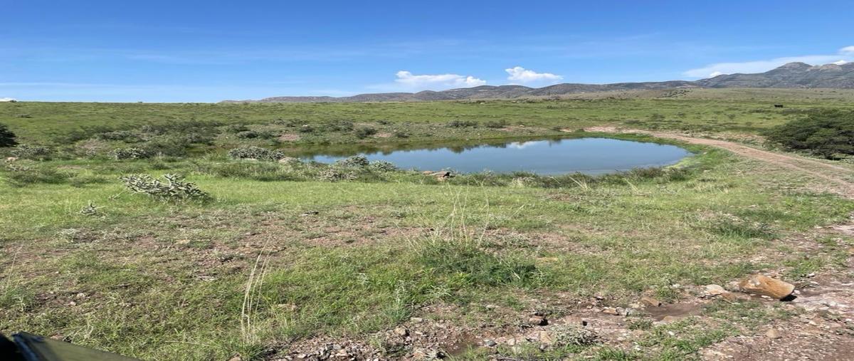 Foto de rancho en venta en  , casa de janos, janos, chihuahua, 27567760 No. 05