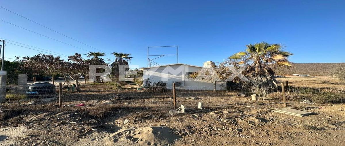 Foto de casa en venta en casa el huerto, calle del huerto , centro, la paz, baja california sur, 28505943 No. 03