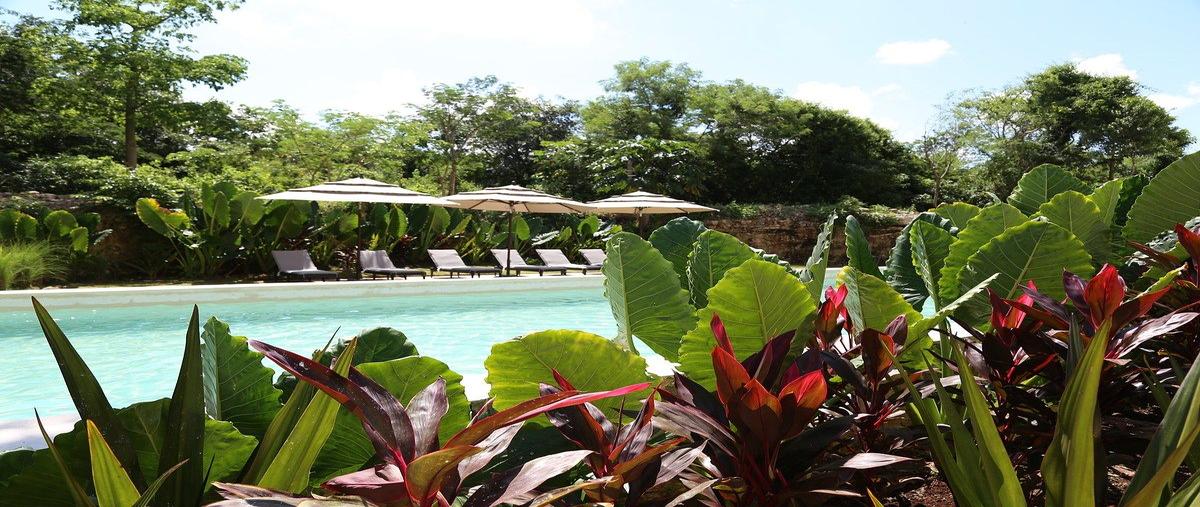 Foto de departamento en venta en casa faisan , cabo norte, mérida, yucatán, 0 No. 05