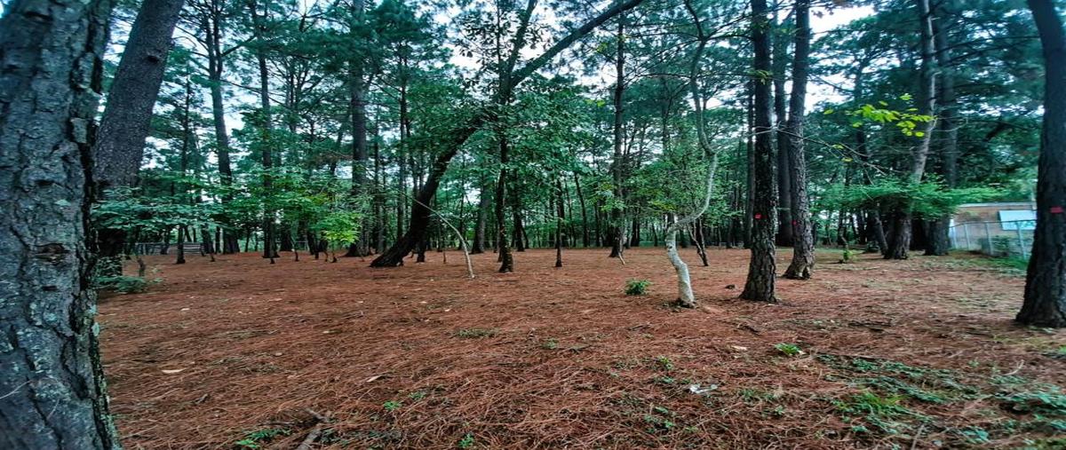 Foto de terreno habitacional en venta en casas viejas 1, avándaro, valle de bravo, méxico, 0 No. 03