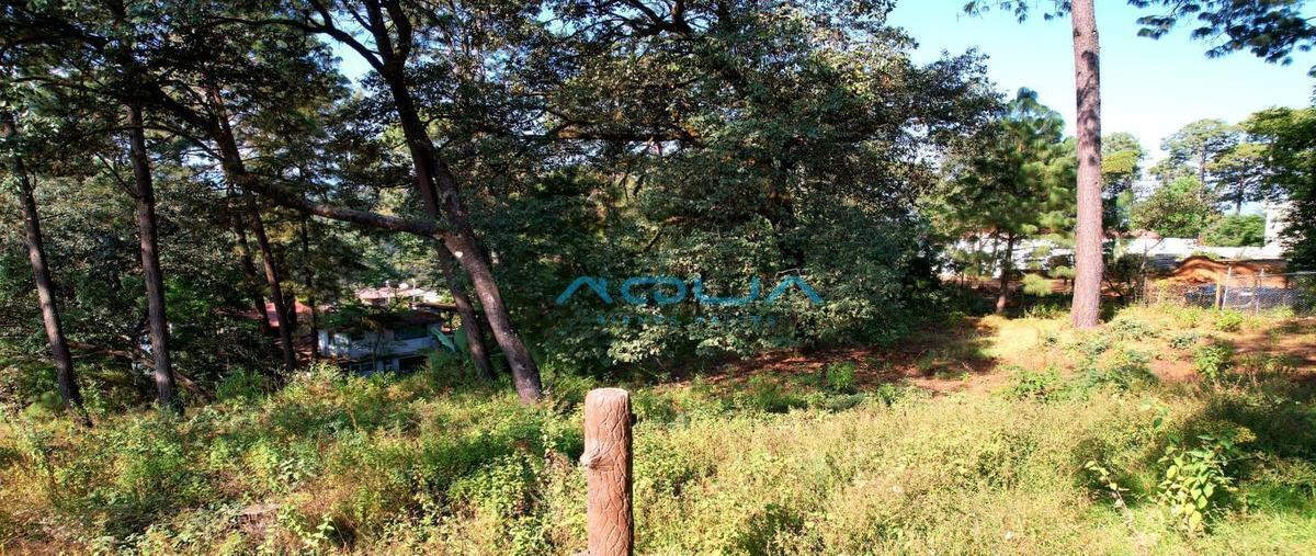 Foto de terreno habitacional en venta en casas viejas , casas viejas, valle de bravo, méxico, 25318109 No. 05