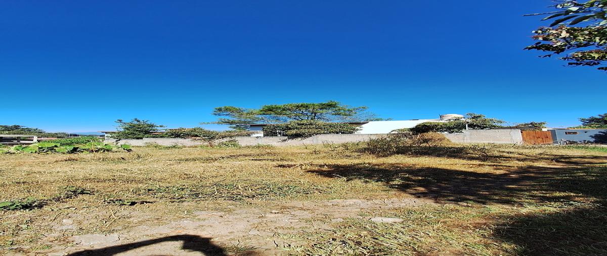Foto de terreno habitacional en venta en casas viejas , casas viejas, valle de bravo, méxico, 28939212 No. 03