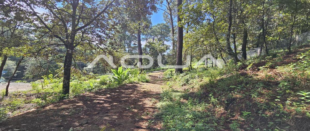 Foto de terreno habitacional en casas viejas , casas viejas, valle de bravo, méxico, 0 foto 01 Foto de terreno habitacional en venta en casas viejas , casas viejas, valle de bravo, méxico, 0 No. 01