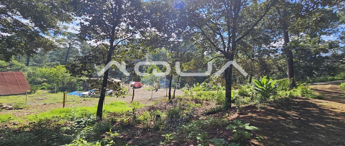 Foto de terreno habitacional en casas viejas , casas viejas, valle de bravo, méxico, 0 foto 02 Foto de terreno habitacional en venta en casas viejas , casas viejas, valle de bravo, méxico, 0 No. 02