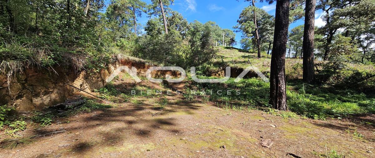 Foto de terreno habitacional en casas viejas , casas viejas, valle de bravo, méxico, 0 foto 03 Foto de terreno habitacional en venta en casas viejas , casas viejas, valle de bravo, méxico, 0 No. 03