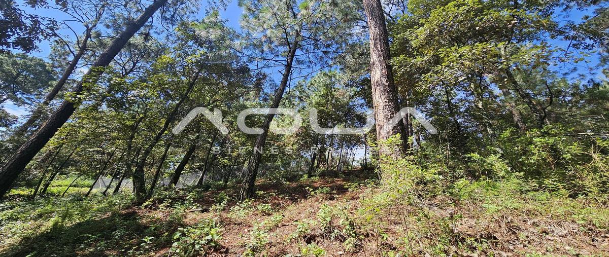 Foto de terreno habitacional en casas viejas , casas viejas, valle de bravo, méxico, 0 foto 04 Foto de terreno habitacional en venta en casas viejas , casas viejas, valle de bravo, méxico, 0 No. 04