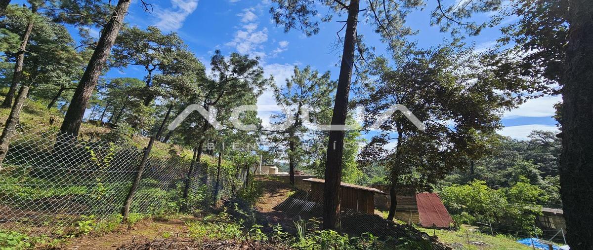 Foto de terreno habitacional en casas viejas , casas viejas, valle de bravo, méxico, 0 foto 05 Foto de terreno habitacional en venta en casas viejas , casas viejas, valle de bravo, méxico, 0 No. 05
