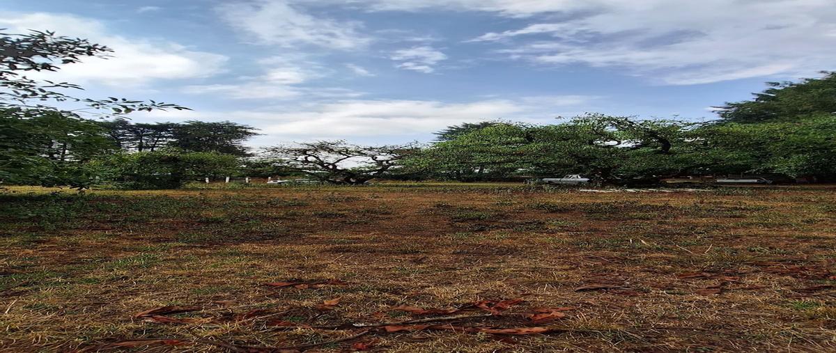Foto de terreno habitacional en casas viejas , casas viejas, valle de bravo, méxico, 0 foto 01 Foto de terreno habitacional en venta en casas viejas , casas viejas, valle de bravo, méxico, 0 No. 01