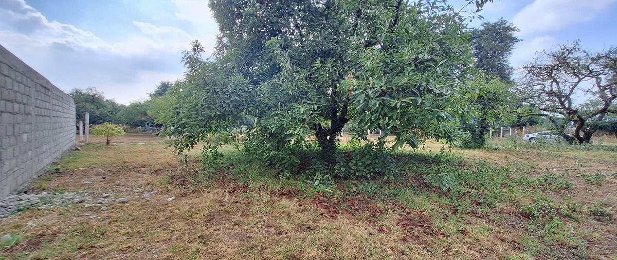 Foto de terreno habitacional en casas viejas , casas viejas, valle de bravo, méxico, 0 foto 02 Foto de terreno habitacional en venta en casas viejas , casas viejas, valle de bravo, méxico, 0 No. 02