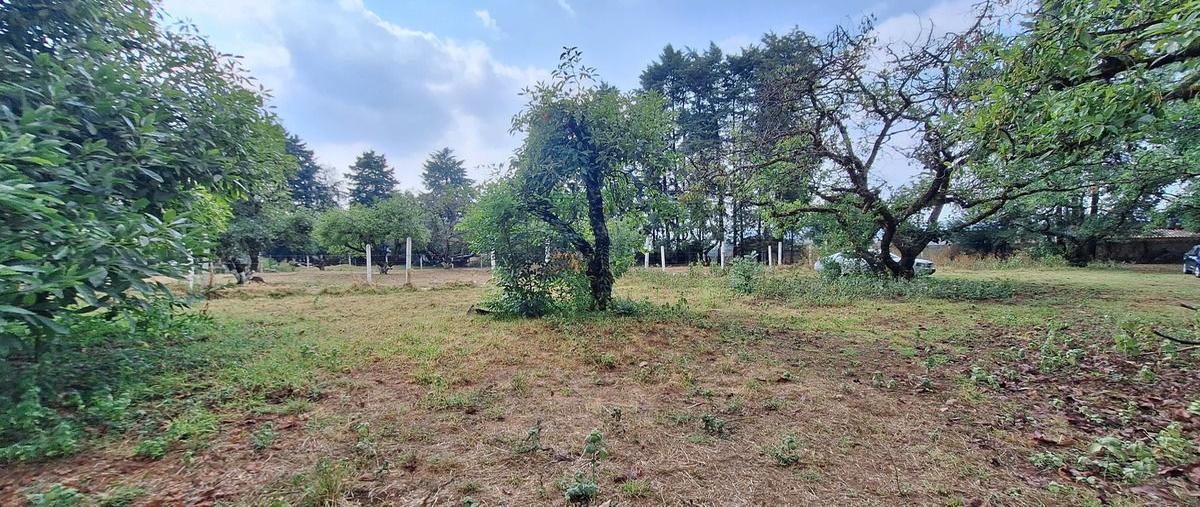 Foto de terreno habitacional en casas viejas , casas viejas, valle de bravo, méxico, 0 foto 03 Foto de terreno habitacional en venta en casas viejas , casas viejas, valle de bravo, méxico, 0 No. 03
