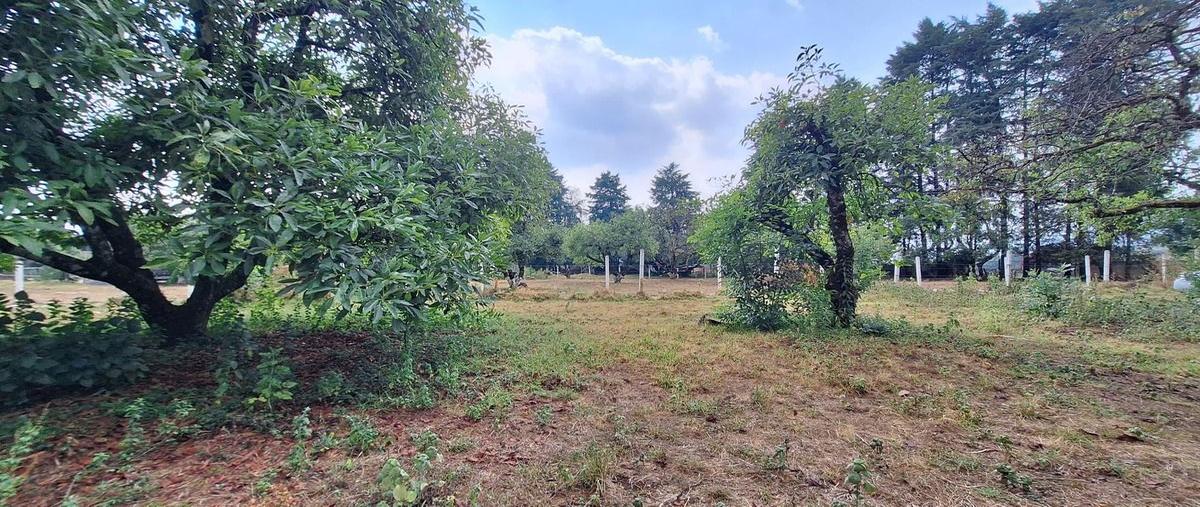 Foto de terreno habitacional en casas viejas , casas viejas, valle de bravo, méxico, 0 foto 04 Foto de terreno habitacional en venta en casas viejas , casas viejas, valle de bravo, méxico, 0 No. 04