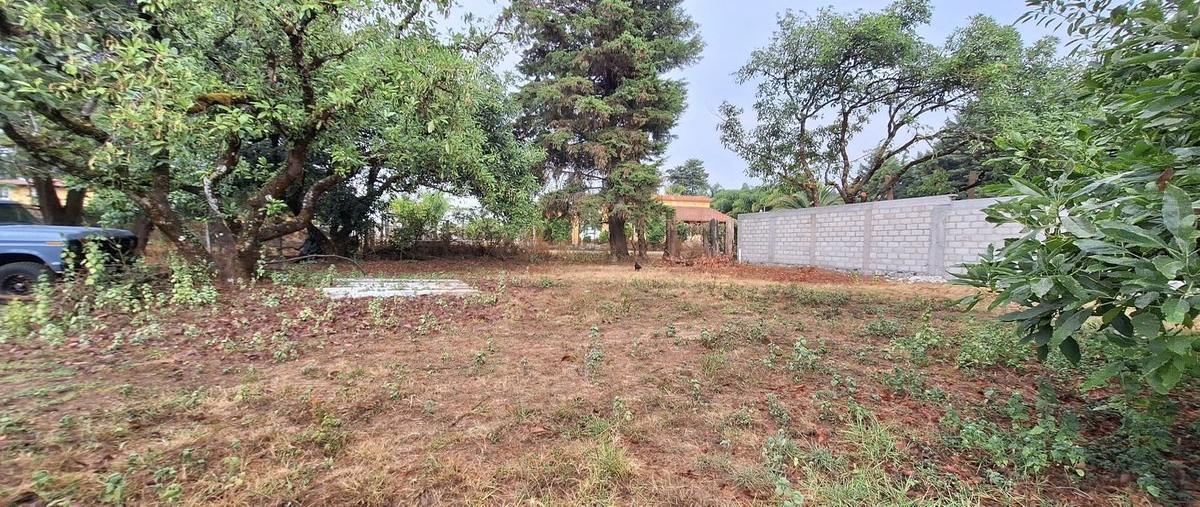 Foto de terreno habitacional en casas viejas , casas viejas, valle de bravo, méxico, 0 foto 05 Foto de terreno habitacional en venta en casas viejas , casas viejas, valle de bravo, méxico, 0 No. 05