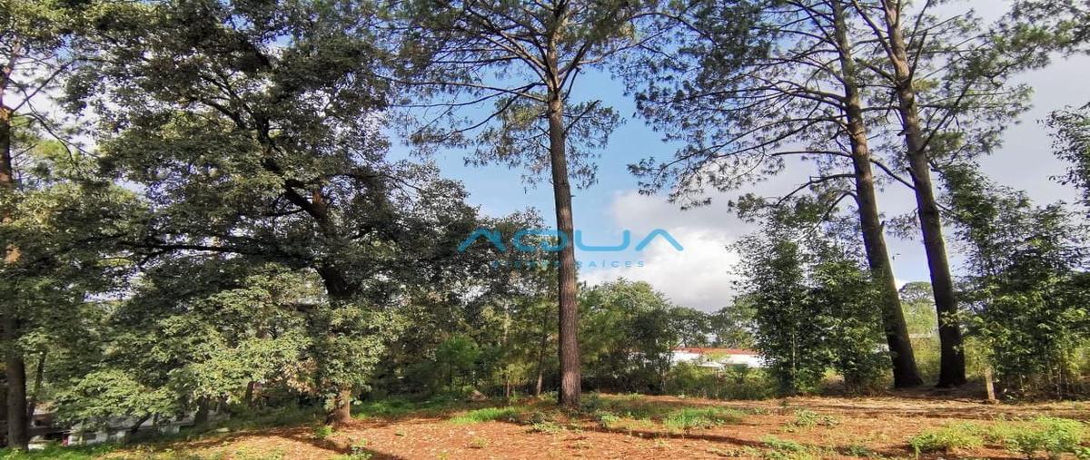 Foto de terreno habitacional en venta en casas viejas , loma bonita, valle de bravo, méxico, 25318109 No. 04