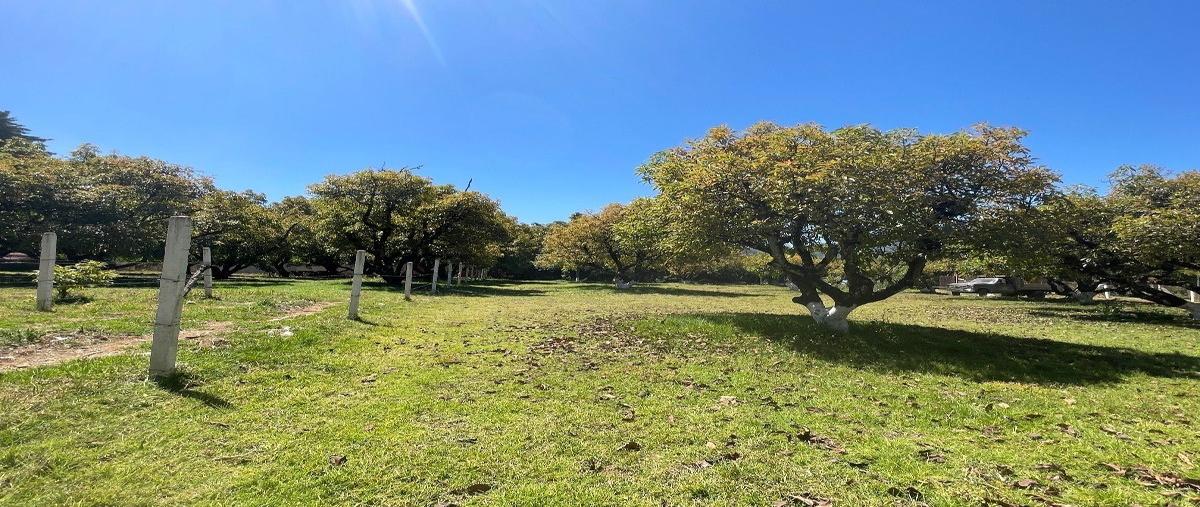 Foto de terreno habitacional en venta en  , casas viejas, valle de bravo, méxico, 27788059 No. 04
