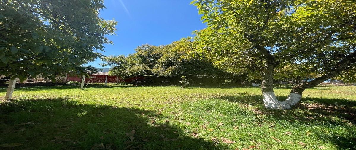 Foto de terreno habitacional en venta en  , casas viejas, valle de bravo, méxico, 27788059 No. 05