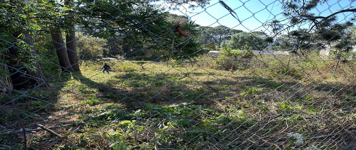 Foto de terreno habitacional en , casas viejas, valle de bravo, méxico, 27859888 foto 02 Foto de terreno habitacional en venta en , casas viejas, valle de bravo, méxico, 27859888 No. 02