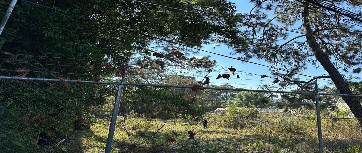 Foto de terreno habitacional en , casas viejas, valle de bravo, méxico, 27859888 foto 03 Foto de terreno habitacional en venta en , casas viejas, valle de bravo, méxico, 27859888 No. 03