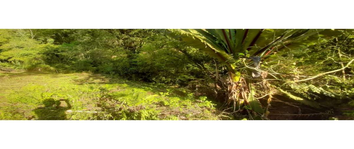 Foto de terreno habitacional en venta en  , casas viejas, valle de bravo, méxico, 0 No. 03