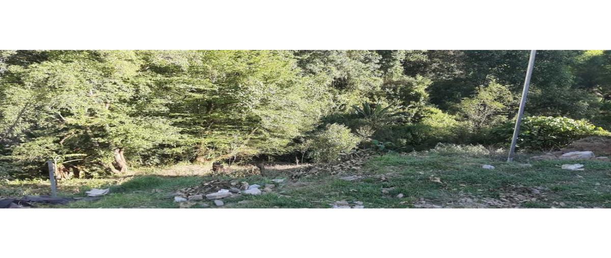 Foto de terreno habitacional en venta en  , casas viejas, valle de bravo, méxico, 0 No. 05