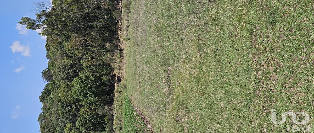 Foto de terreno comercial en venta en cascada la piedad , jacal de la piedad, amealco de bonfil, querétaro, 31316432 No. 03