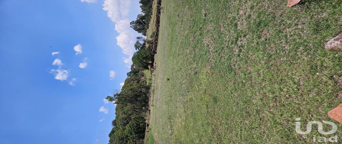 Foto de terreno comercial en venta en cascada la piedad , jacal de la piedad, amealco de bonfil, querétaro, 31316432 No. 04