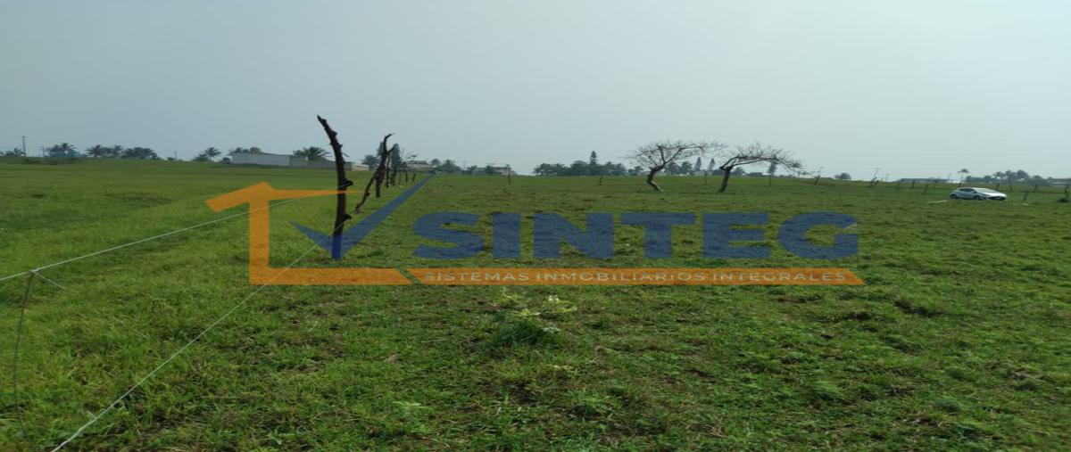 Foto de terreno habitacional en venta en  , casitas, tecolutla, veracruz de ignacio de la llave, 0 No. 04