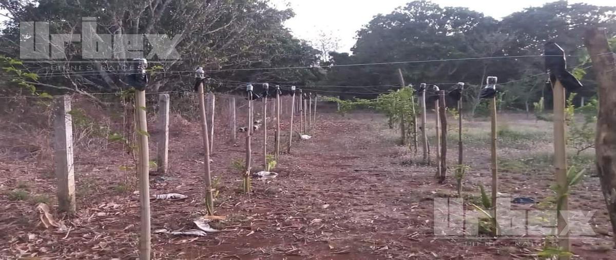 Foto de terreno habitacional en venta en  , castamay, campeche, campeche, 0 No. 05