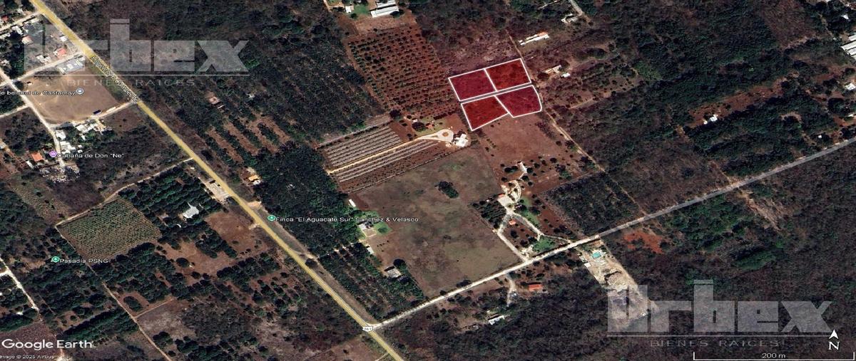 Foto de terreno habitacional en venta en  , castamay, campeche, campeche, 30286888 No. 04