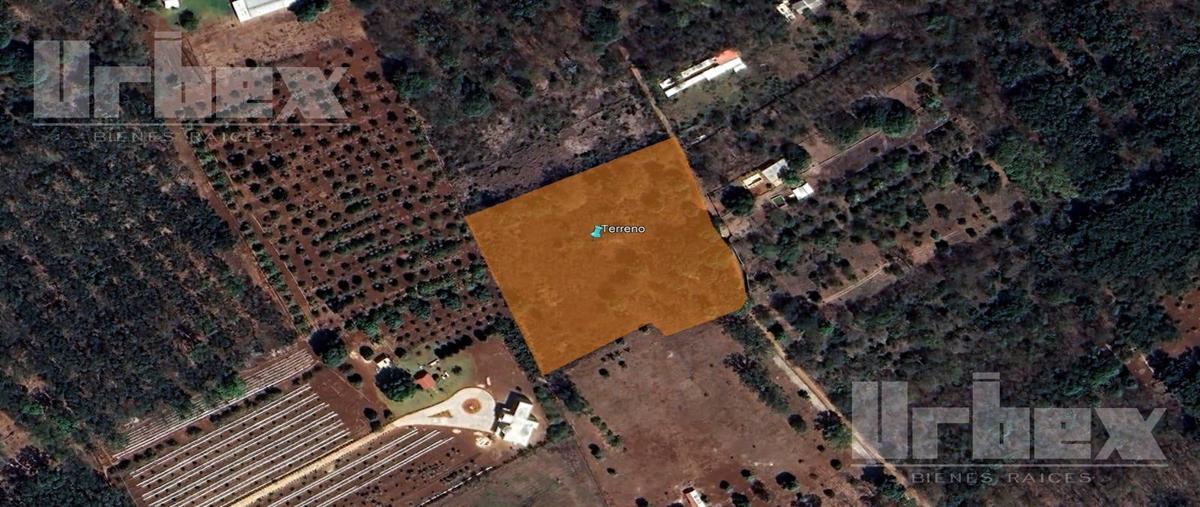 Foto de terreno habitacional en , castamay, campeche, campeche, 0 foto 05 Foto de terreno habitacional en venta en , castamay, campeche, campeche, 0 No. 05